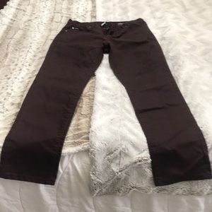 Rvca pvsh/ fresh maroon 34